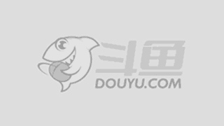 的实力